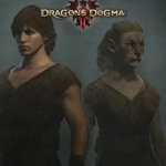 【龙之信条2】蓬松MOD管理器Fluffy Mod Manager