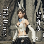 【艾尔登法环】蒂法兔女郎紧身胸衣 (完整物理)