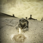 【艾尔登法环1.12.4】Boss复活MOD完整DLC中文版（整合荣誉商人）