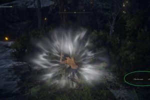 【艾尔登法环1.16】自动拾取&装备汉化整合动态MOD