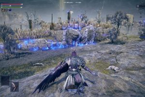 【艾尔登法环：黑夜君临1.01.2】无毒圈伤害MOD